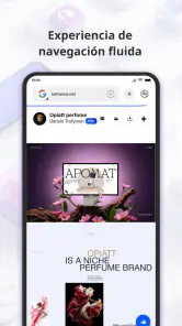 One Browsing screenshot