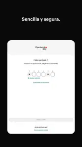 Openbank Pay screenshot