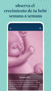Ovia Calendario de embarazo screenshot