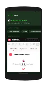 Pelota Libre screenshot