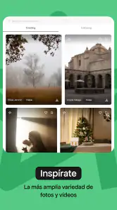 Pexels screenshot