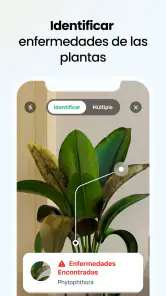 Plant App - Buscador de Planta screenshot