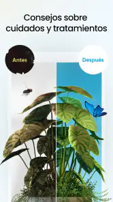 Plant App - Buscador de Planta screenshot