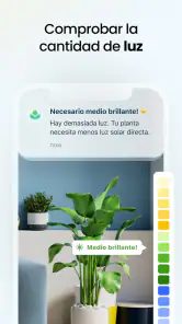 Plant App - Buscador de Planta screenshot