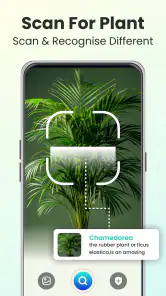 Plant Identifier - Plant Care screenshot