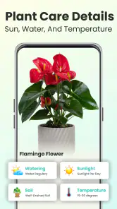Plant Identifier - Plant Care screenshot