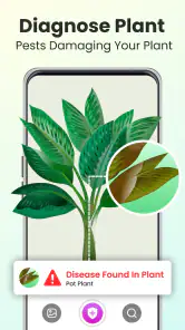 Plant Identifier - Plant Care screenshot