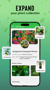 Plantas Identificador cuidado screenshot