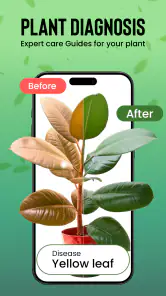 Plantas Identificador cuidado screenshot