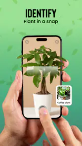 Plantas Identificador cuidado screenshot
