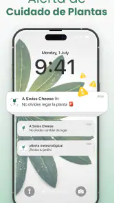 Plantify Identificador Plantas screenshot