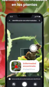 PlantIn: Cuidado de plantas screenshot