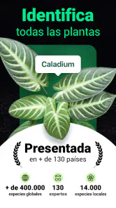 Plantum - Identificar plantas screenshot
