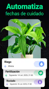 Plantum - Identificar plantas screenshot