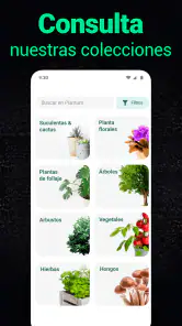 Plantum - Identificar plantas screenshot