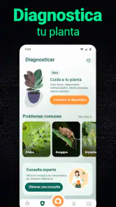 Plantum - Identificar plantas screenshot