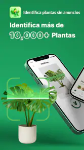 Reconocimiento De Plantas App screenshot