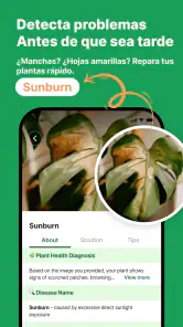 Reconocimiento De Plantas App screenshot