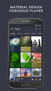 Reproductor de Música Pulsar + screenshot
