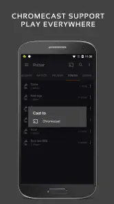 Reproductor de Música Pulsar + screenshot