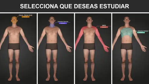 RX - Posiciones Radiológicas screenshot