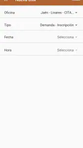 SAE. Servicio Andaluz de Emple screenshot