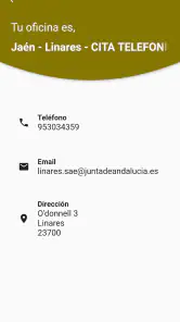 SAE. Servicio Andaluz de Emple screenshot
