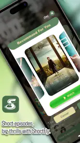 ShortFly screenshot