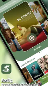 ShortFly screenshot