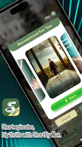 ShortFly Max screenshot