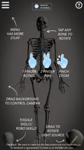 Skelly: Poseable Anatomy Model screenshot