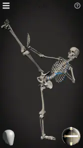 Skelly: Poseable Anatomy Model screenshot