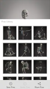 Skelly: Poseable Anatomy Model screenshot