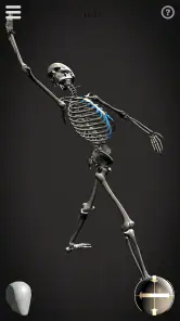 Skelly: Poseable Anatomy Model screenshot