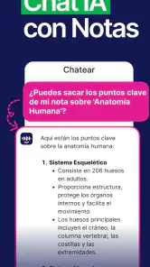 Smart Noter - Notas con IA screenshot