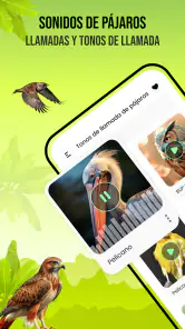 Sonidos de pájaros screenshot