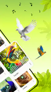 Sonidos de pájaros screenshot