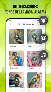 Sonidos de pájaros screenshot