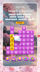 Sopa de Letras Zen screenshot