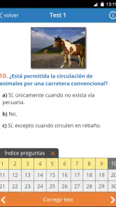 TodoTest: Test de conducir screenshot
