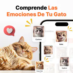 Traductor de Humano a Gato screenshot