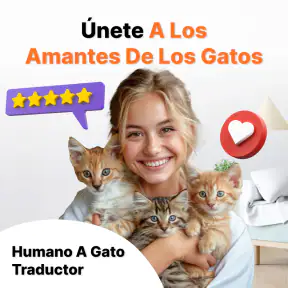 Traductor de Humano a Gato screenshot