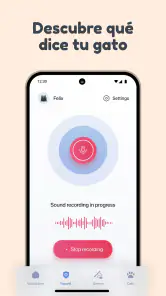 Traductor de lenguaje de Gato screenshot