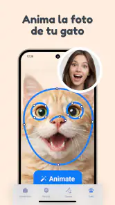 Traductor de lenguaje de Gato screenshot