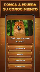 Trivia Madera: Trivia Blocks screenshot