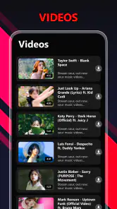 Tube Video Downloader screenshot