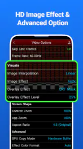 Video Game screenshot