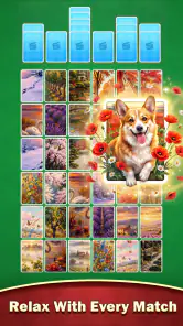 Video Solitaire: Rompecabezas screenshot