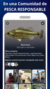 WeFish | Predicción de pesca screenshot