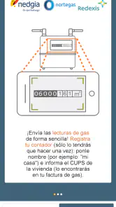 YoLeoGas screenshot